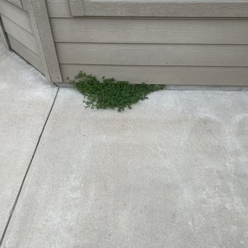 Sage Outdoor Services - Landscaping Near Me Sage Outdoor Services - Landscaping Near Me