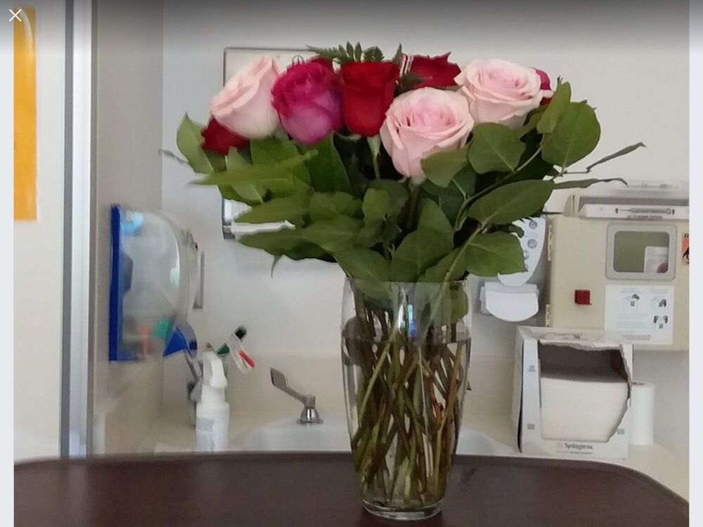 GROWER DIRECT FRESH CUT FLOWERS Updated August 2024 20504 St Albert Trail, St Albert