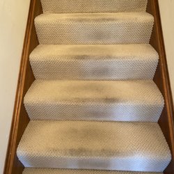 Pristine Steam Carpet Cleaning - Before