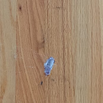Capital Valley Floors - Renter damage - Flooring Near Me
