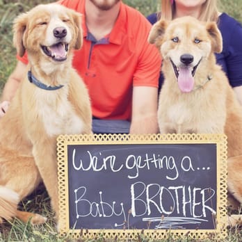 Pets "R" Home - Chance and Beau wanted to tell the world about their new baby brother - Pet Groomers Near Me - Mooresville, North Carolina Pets "R" Home - Chance and Beau wanted to tell the world about their new baby brother - Pet Groomers Near Me - Mooresville, North Carolina