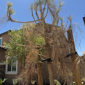 Elite Landscaping - Landscaping Near Me Elite Landscaping - Landscaping Near Me