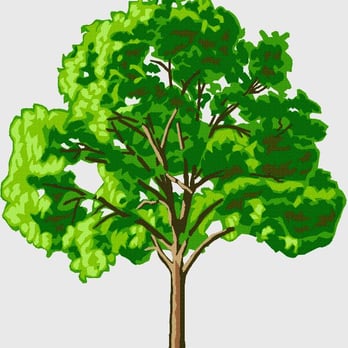 Sanford's Tree Service - Tree Services Near Me - Jacksonville, Florida Sanford's Tree Service - Tree Services Near Me - Jacksonville, Florida
