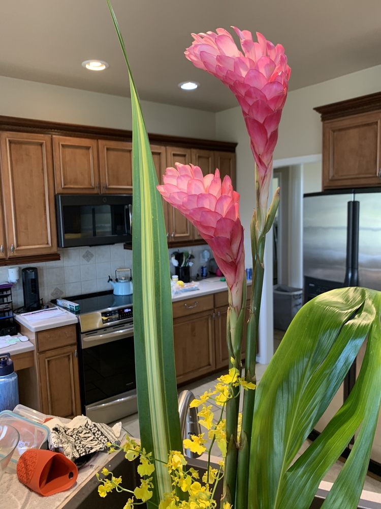 FLORAL ARTISTRY Updated August 2024 1008 Main St, Lewiston, Idaho Florists Phone Number