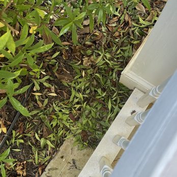 Grantlanta Lawn - More trimming not cleaned - Landscape Architects or Designers Near Me
