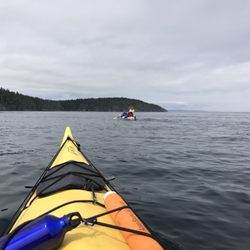 North Island Kayak