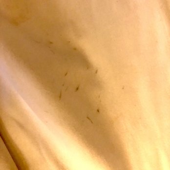 Peppermill Reno - More stains make me ready to sleep comfortably - Casinos Near Me - Reno, Nevada Peppermill Reno - More stains make me ready to sleep comfortably - Casinos Near Me - Reno, Nevada