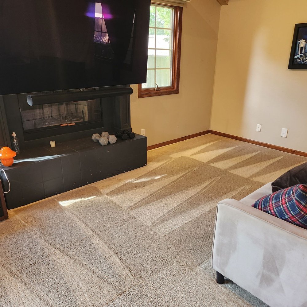 Patoma Floor Cleaning - You wouldn't know this the main room two large dogs spend most of their time 1 - Carpet Cleaning Near Me