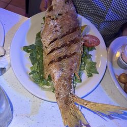 Pargo Rojo/Fried Red Snapper Fish