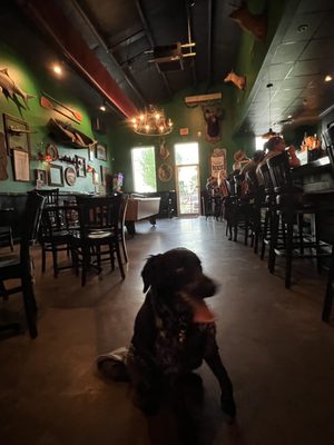 Pirogue's Whiskey Bayou by null