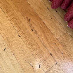 Xtermite XTERMITE - 12 Photos & 117 Reviews - 10107 Prospect Ave, Santee ...