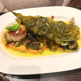On Swann - Scallops - Bars Near Me - Tampa, Florida On Swann - Scallops - Bars Near Me - Tampa, Florida