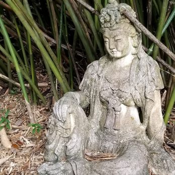The Lotus Pond - Statue in the yard - Pilates Near Me - Tampa, Florida