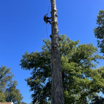 Aventura Tree Services - Tree removal - Tree Services Near Me - Gaithersburg, Maryland Aventura Tree Services - Tree removal - Tree Services Near Me - Gaithersburg, Maryland