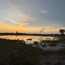 The Wild Source