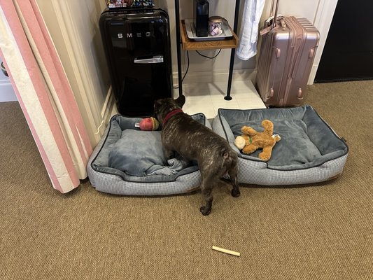 Palihotel San Francisco by null