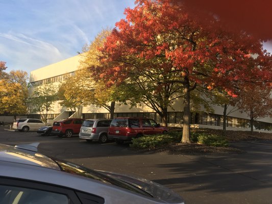 Karly Hoffman King Therapy LLC