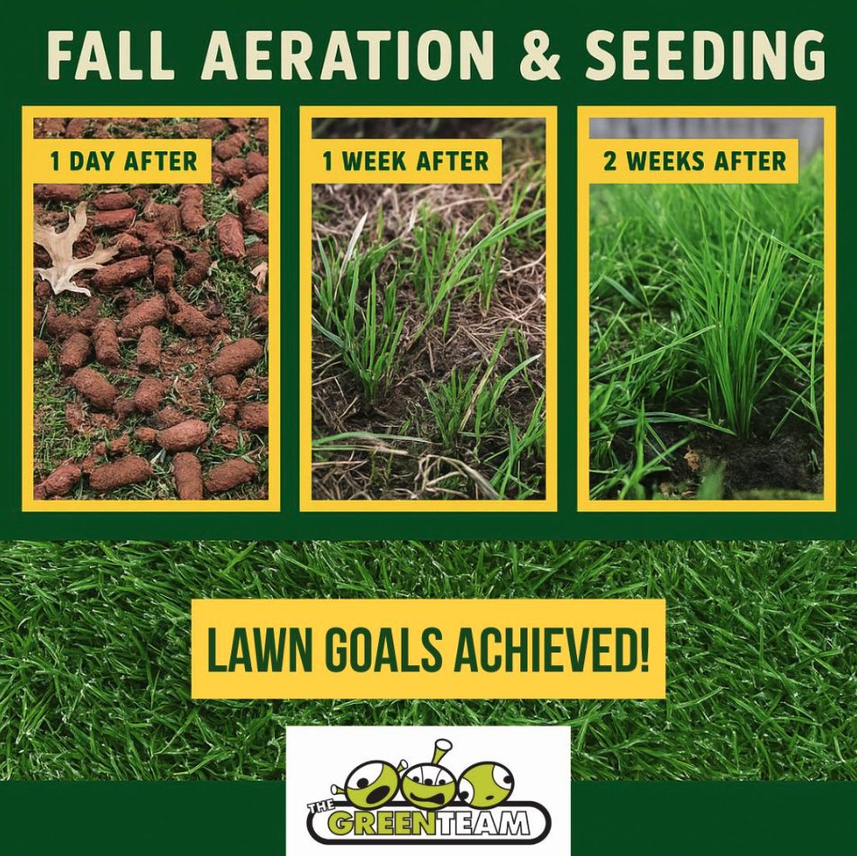 The Green Team - tree service in Matthews, NC