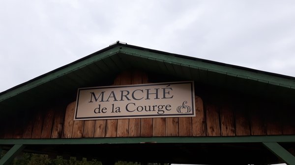 Vignoble Les Vents d'Ange by null