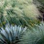 Photo of Waterwise Landscapes