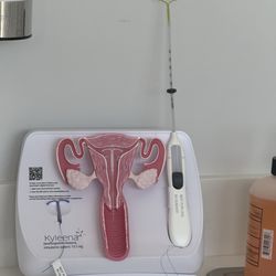 Marina ObGyn - IUD