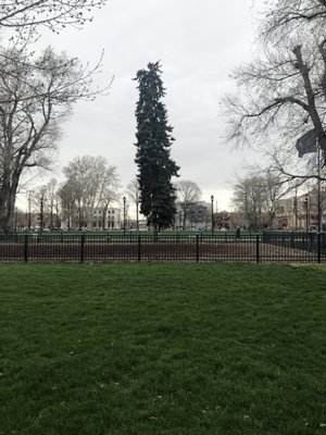 Pioneer Park by null