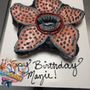 Sugar Crazee Cakes And Treats