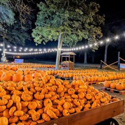 Bandy's Pumpkin Patch