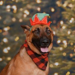 JC Penny Portrait Studio - Santa's little helper