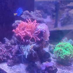 Aquatic Oasis