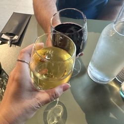 Hôtel Mercure Paris Orly Aéroport - Cheap delicious house wine