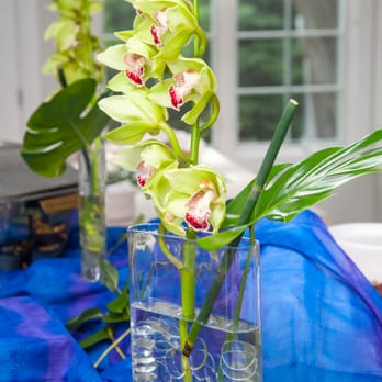 Ooh-Ahh Floral Design - Florists Near Me - Evanston, Illinois Ooh-Ahh Floral Design - Florists Near Me - Evanston, Illinois