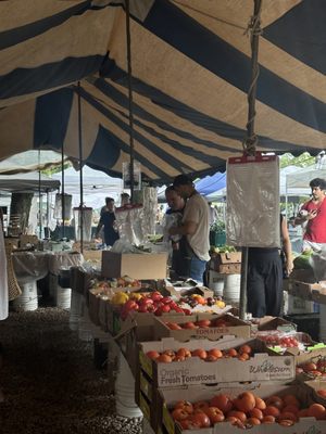 Coconut Grove Farmer's Market by null
