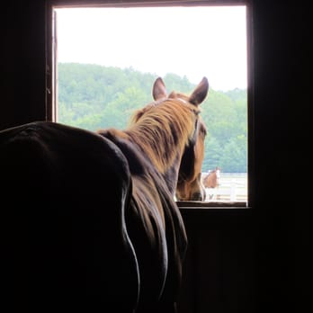 Blackberry Farm - Resorts Near Me - Walland, Tennessee