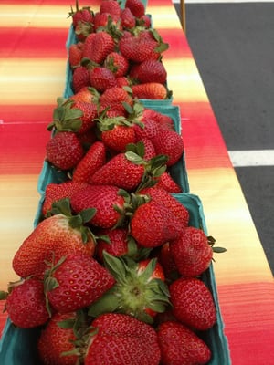 Brookhaven Farmers Market by null