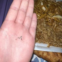 Number 1 Chinese - Piece of metal in my food