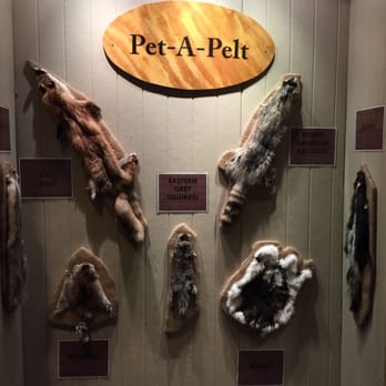 Atlantic City Aquarium - Pet pelts! - Aquariums Near Me - Atlantic City, New Jersey