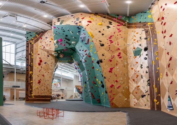 Crux Climbing Center Pflugerville by null