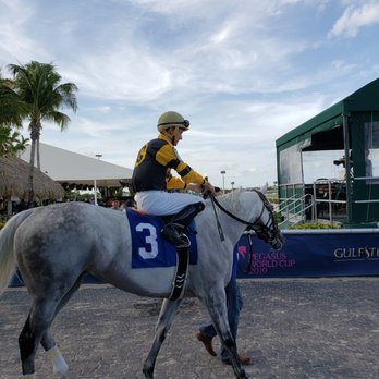Gulfstream Park - Had to bet the grey for my mom! - Casinos Near Me - Hallandale Beach, Florida