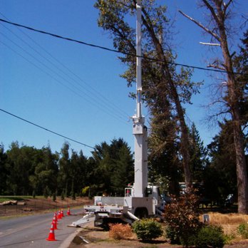 Arbor Tree Surgery - Tree Services Near Me - Paso Robles, California