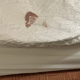 Blood on my comforter! Really? Blood on my comforter! Really?