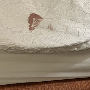 Hampton Inn & Suites Williston - Blood on my comforter! Really? - Hotels Near Me - Williston, North Dakota Hampton Inn & Suites Williston - Blood on my comforter! Really? - Hotels Near Me - Williston, North Dakota