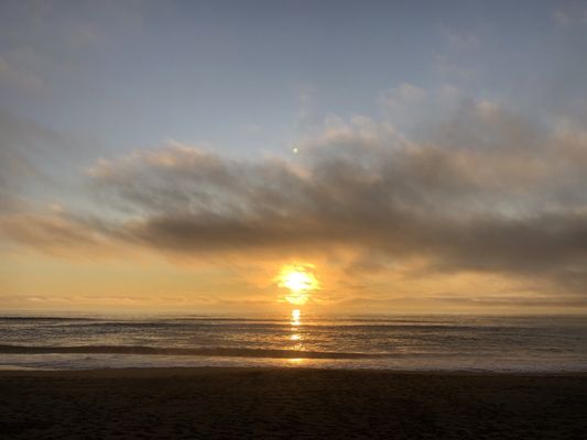 Gold Bluffs Beach Campground by null