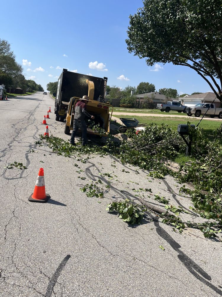 Alvarado Tree Service - tree service in Fort Worth, TX