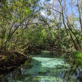 Rainbow River Canoe And Kayak - Boat Charters Near Me - Dunnellon, Florida Rainbow River Canoe And Kayak - Boat Charters Near Me - Dunnellon, Florida