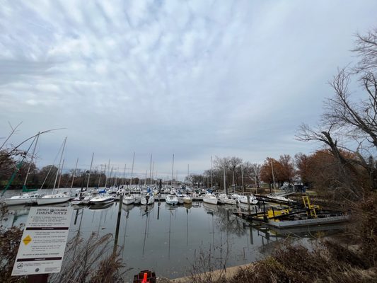 Washington Sailing Marina by null