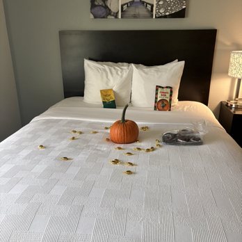 Mainstay Suites Logan Ohio-Hocking Hills - Hotels Near Me - Logan, Ohio