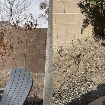 VanDorne Landscape and Design - Where it once stood and when it was ripped out - Landscaping Near Me