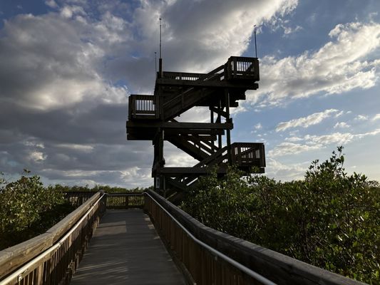 Weedon Island Preserve by null