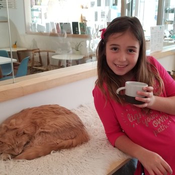 KitTea - Enjoying tea and cats - Pet Adoption Near Me - San Francisco, California
